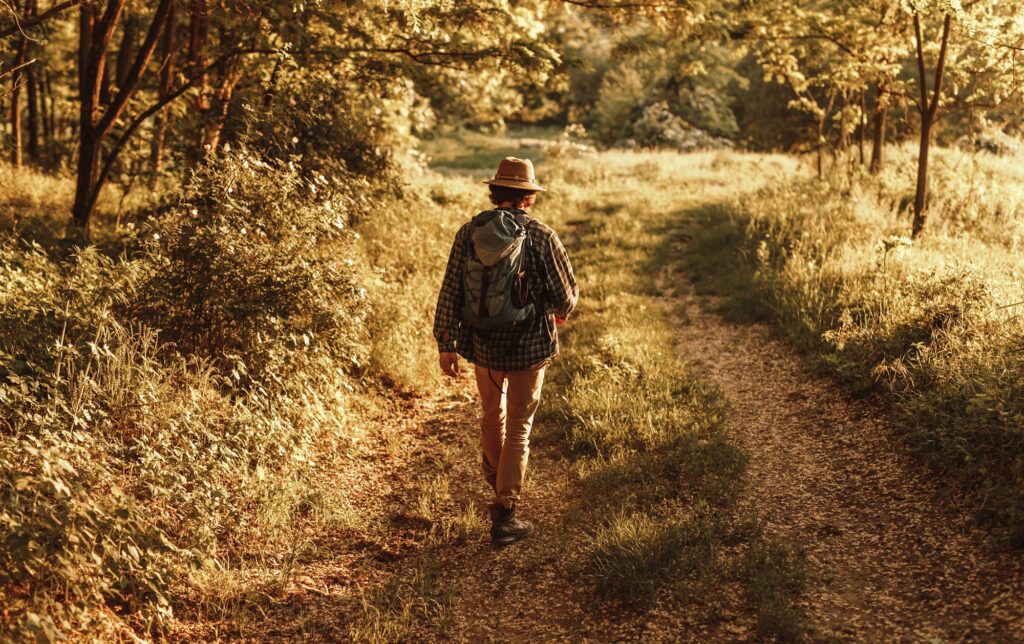 Anonymous tourist walking near forest